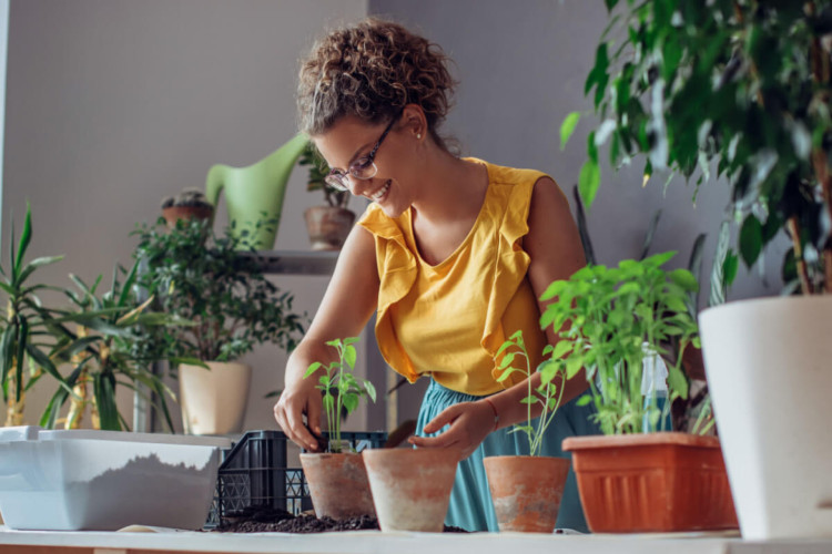 Alguns equipamentos são essenciais para a manutenção de um jardim (Imagem: Likoper | Shutterstock)