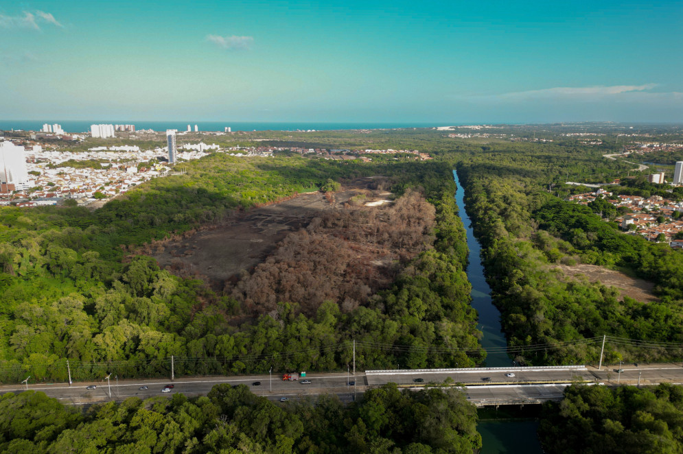 Área ambienrtal do Parque do Cocó em meio a Fortaleza(Foto: AURÉLIO ALVES)