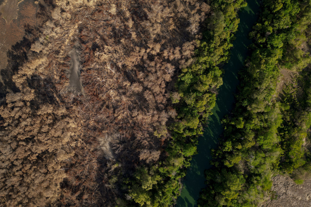 Imagem aérea mostra contraste em área do Parque Estadual do Cocó atingida por incêndio em janeiro de 2024(Foto: AURÉLIO ALVES)