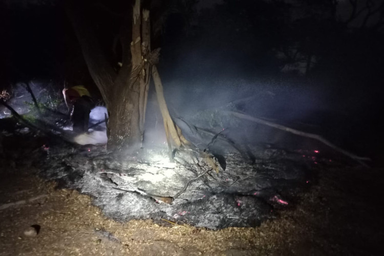 Fogo é registrado em vegetação seca e não tem ligação com o incêndio anterior 