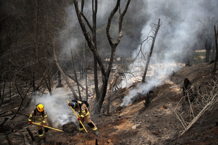 Número de mortos em incêndio no Chile chega a 64, "e vai crescer", diz