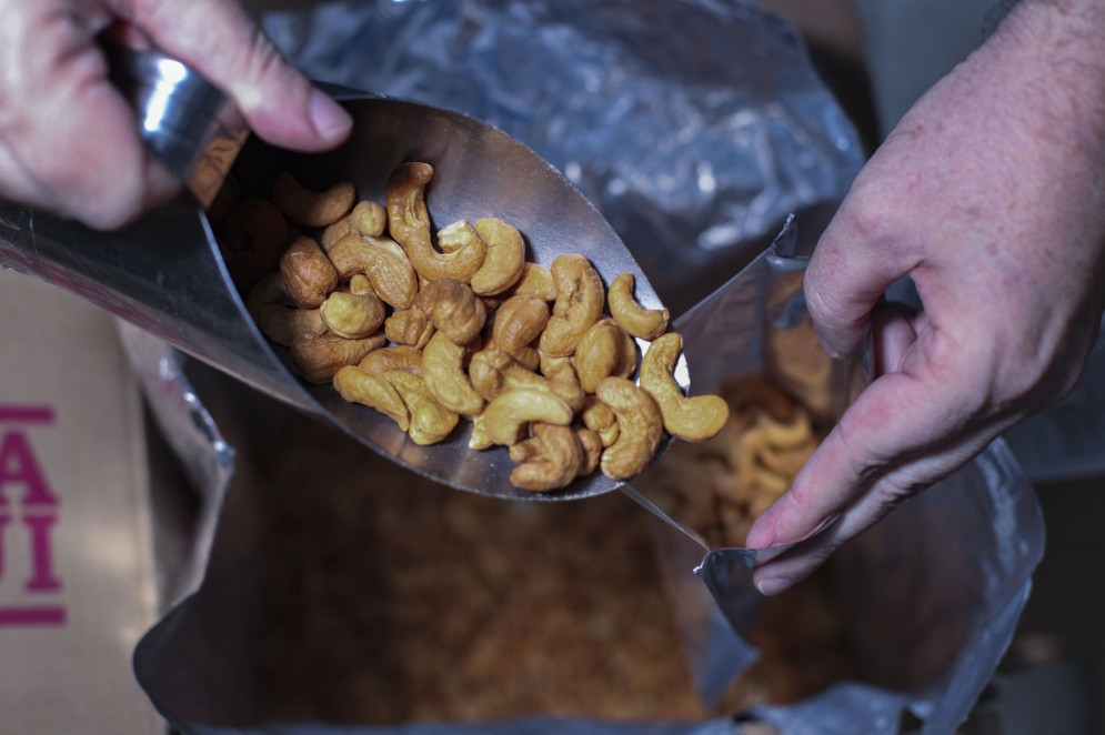 Produtores reclamam do baixo preço da cotação de castanha de caju no mercado local (Foto: FÁBIO LIMA)