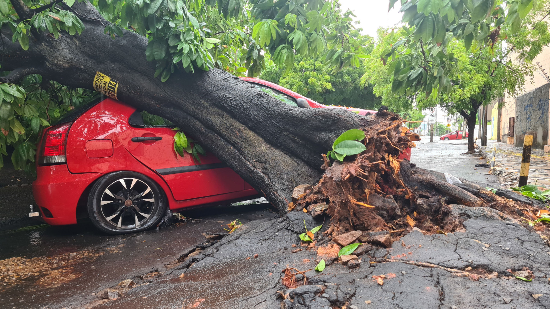  Neste sábado, primeiro dia de carnaval, choveu forte em Fortaleza, causando queda de árvores e vários pontos de alagamentos na Capital  (Foto: Yuri Allen/Especial para O Povo)