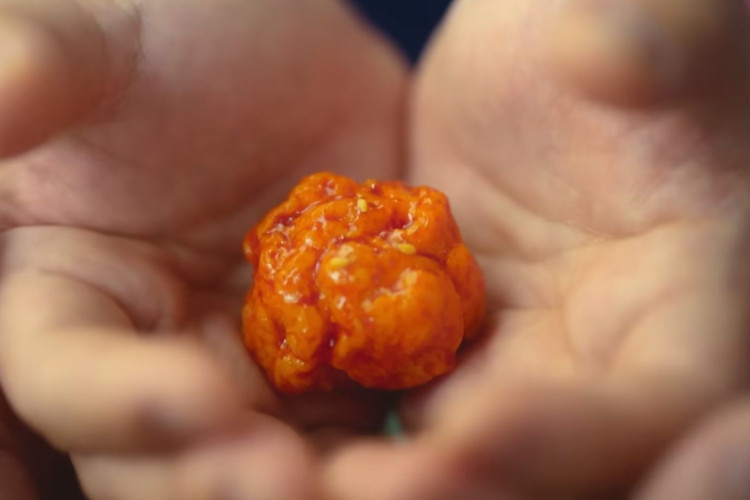 Entenda o enredo de série sul-coreana sobre mulher transformada em um nugget de frango