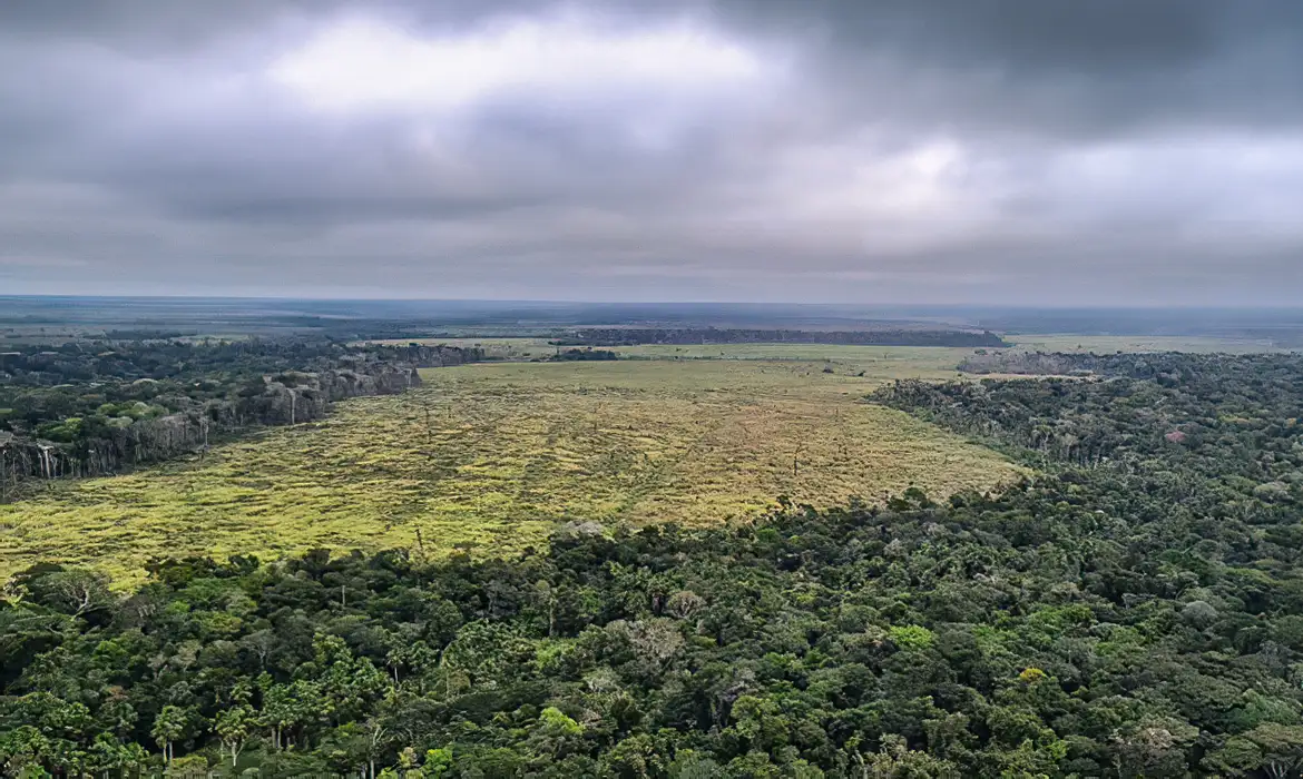 Desmatamento na Amazônia cai 60% em janeiro deste ano