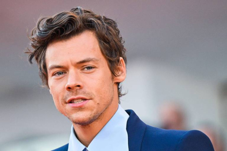 Brasileira é presa por perseguir Harry Styles na Inglaterra