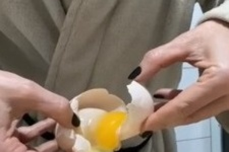 Além do tamanho fora do normal, dentro do ovo gigante havia a presença de outro ovo