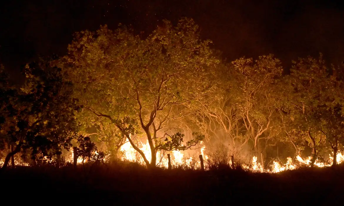 Imagem de apoio ilustrativo: Região sofre com intensificação de queimadas desde o início de agosto(Foto: Reprodução)