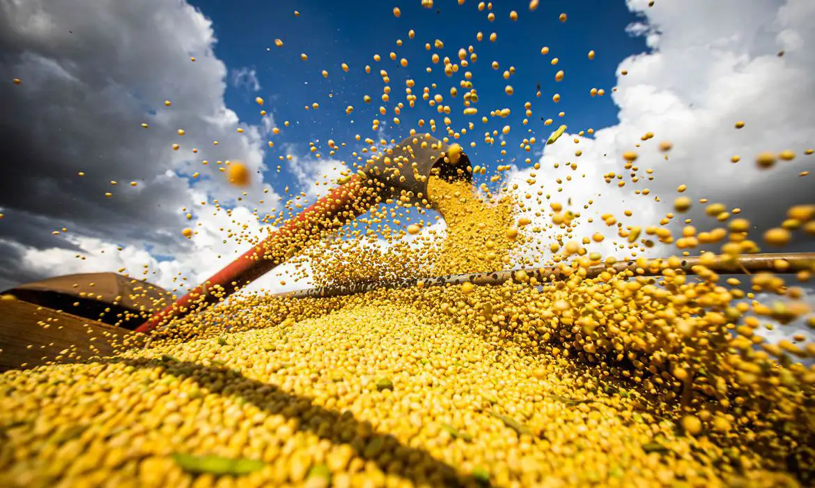  Desse montante, R$ 142 bilhões serão destinados à agricultura empresarial, 10% mais que na safra passada (Foto: Wenderson Araujo/Trilux)