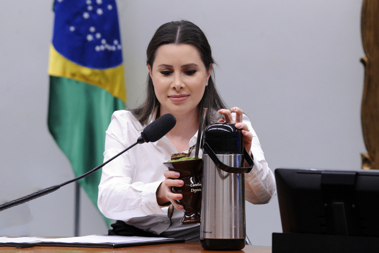 Caroline de Toni (PL - SC) põe água quente no chimarrão durante reunião da CCJ