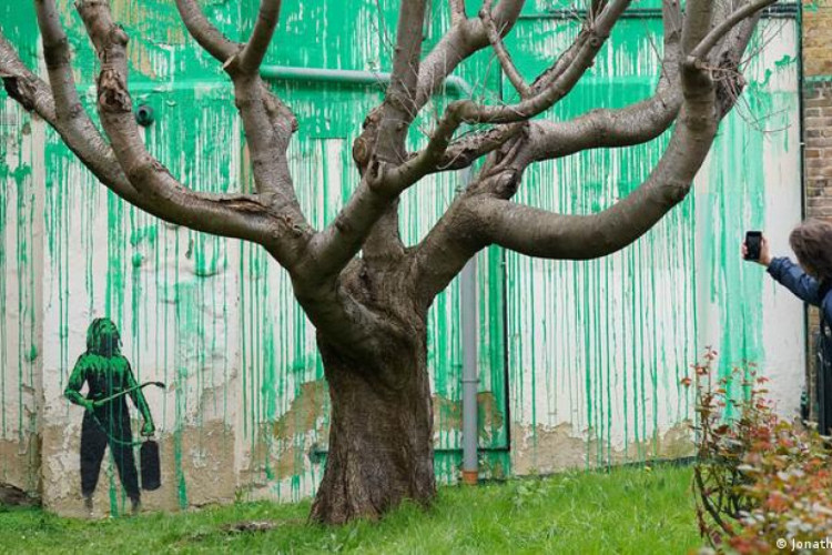 Na nova obra de Banksy, a tinta verde se alinha com os galhos nus de uma cerejeira, de modo a representar suas folhas