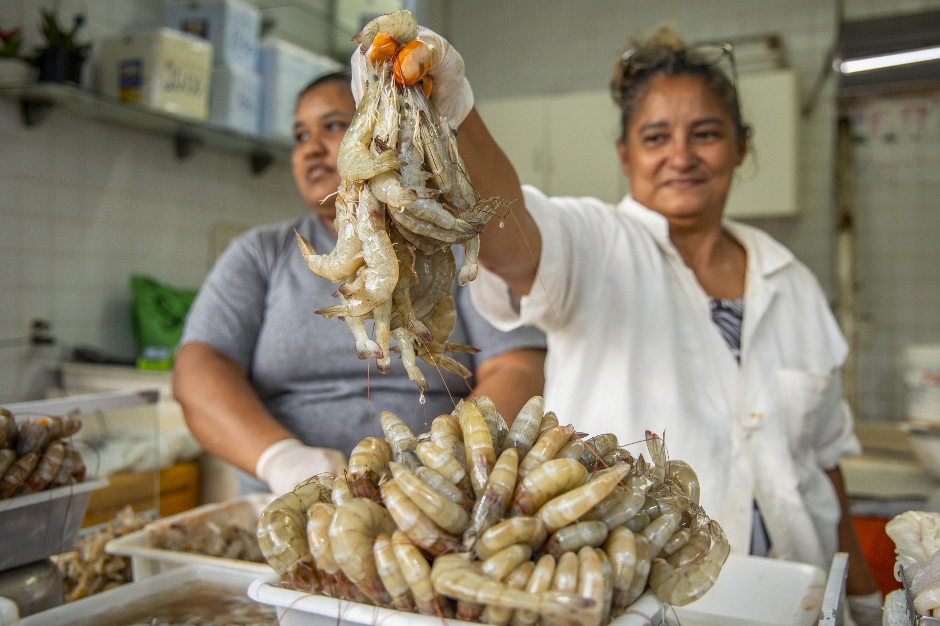 ￼ESTADO é responsável por pouco mais de 40% da produção nacional de camarões (Foto: FCO FONTENELE)