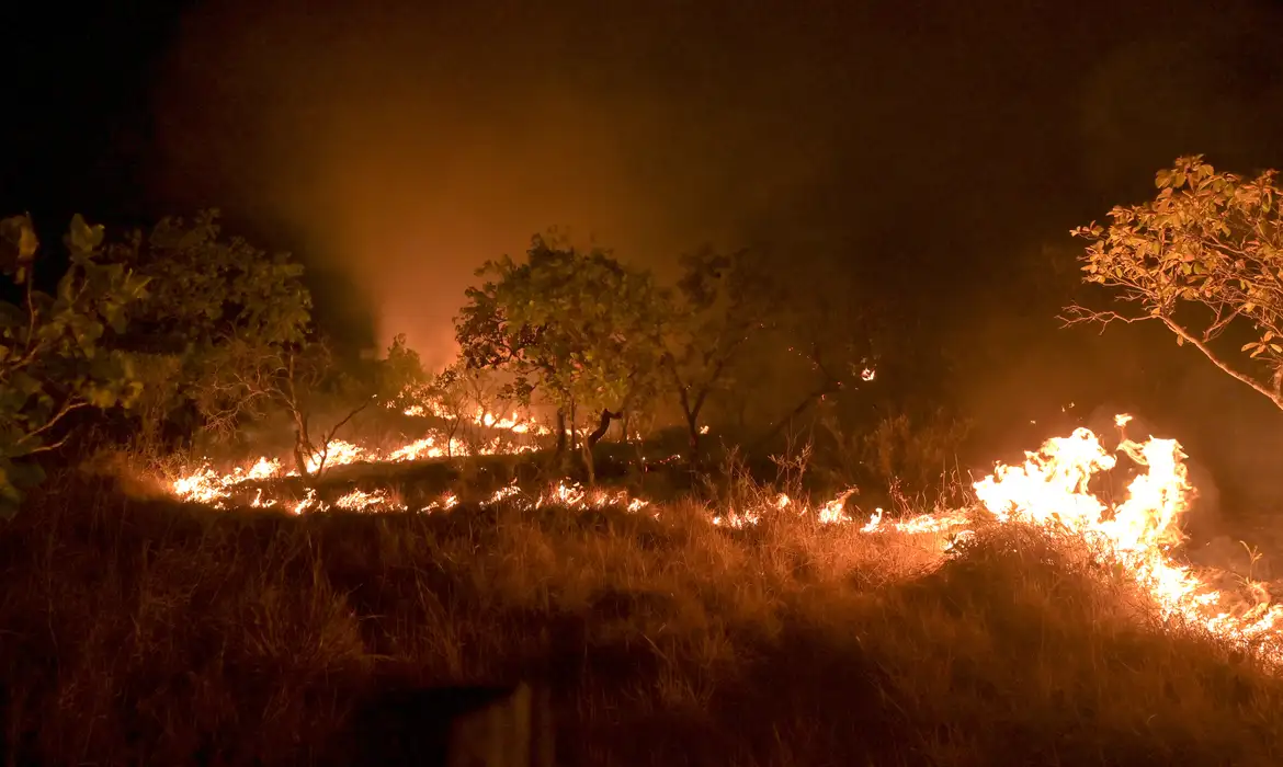 Seca faz incêndios em florestas maduras crescer 152% na Amazônia (Foto: )