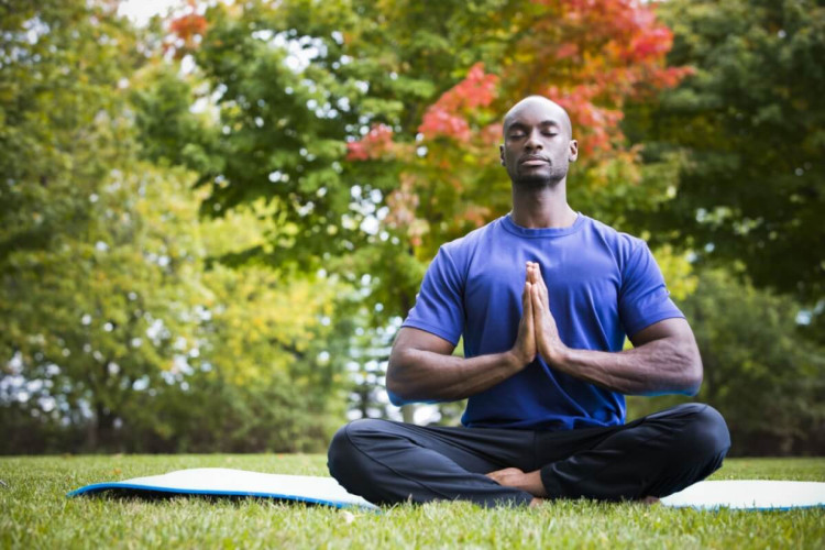 O yoga é uma ferramenta poderosa e integrada para combater o estresse (Imagem: Zdenka Darula | Shutterstock)