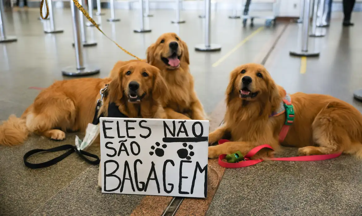 Após morte de Joca, em abril deste ano, tutores se manifestaram no aeroporto de Brasília