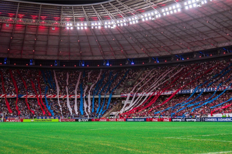 O objetivo do grupo é monitorar o gramado da Arena Castelão, que vai passar por melhorias