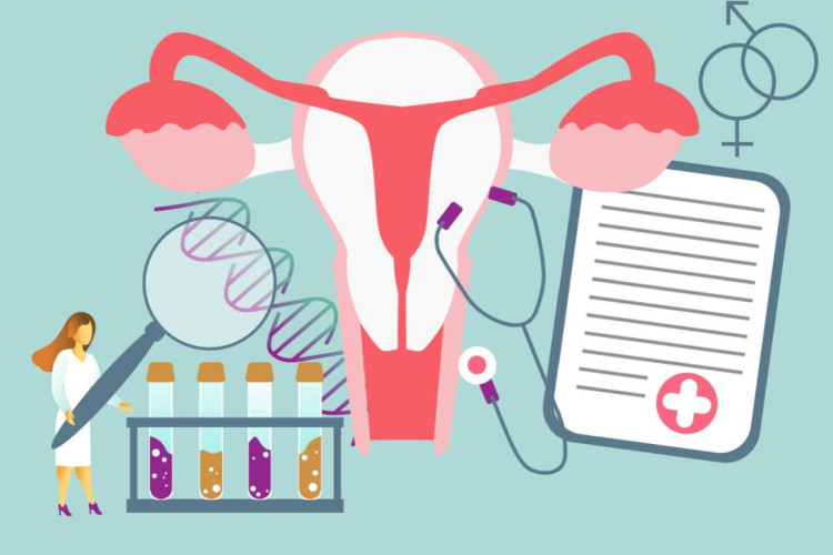 O TDPM é uma forma grave da síndrome pré-menstrual e afeta significativamente a qualidade de vida das mulheres (Imagem: Mrs Ekaterina Genn | Shutterstock)