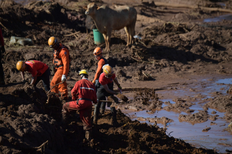 Da Netflix, filme sobre tragédia Brumadinho terá produção da O2 e direção de Fernando Meirelles