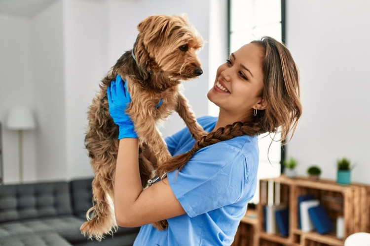 Comportamentos incomuns indicam que os animais de estimação precisam visitar o veterinário (Imagem: Krakenimages.com | Shutterstock) 