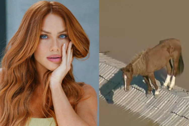 Atriz e apresentadora Giovanna Ewbank se emocionou com o resgate do cavalo Caramelo e revela que quer adotar o animal