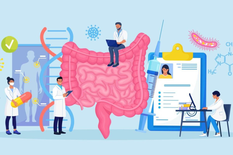 Maio é um mês de conscientização sobre as doenças inflamatórias intestinais (Imagem: Buravleva stock | Shutterstock)