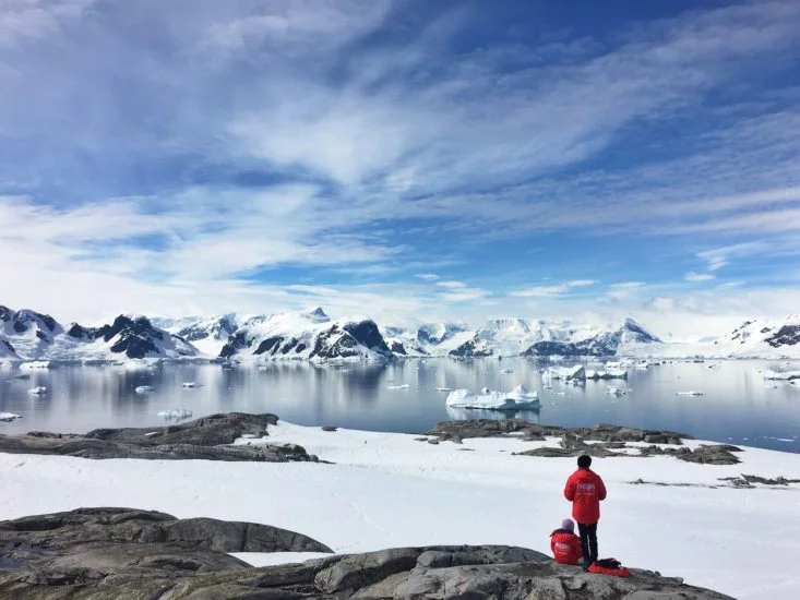 Recentemente, um grupo de cientistas anunciou que várias espécies novas de animais foram descobertas na Antártica.