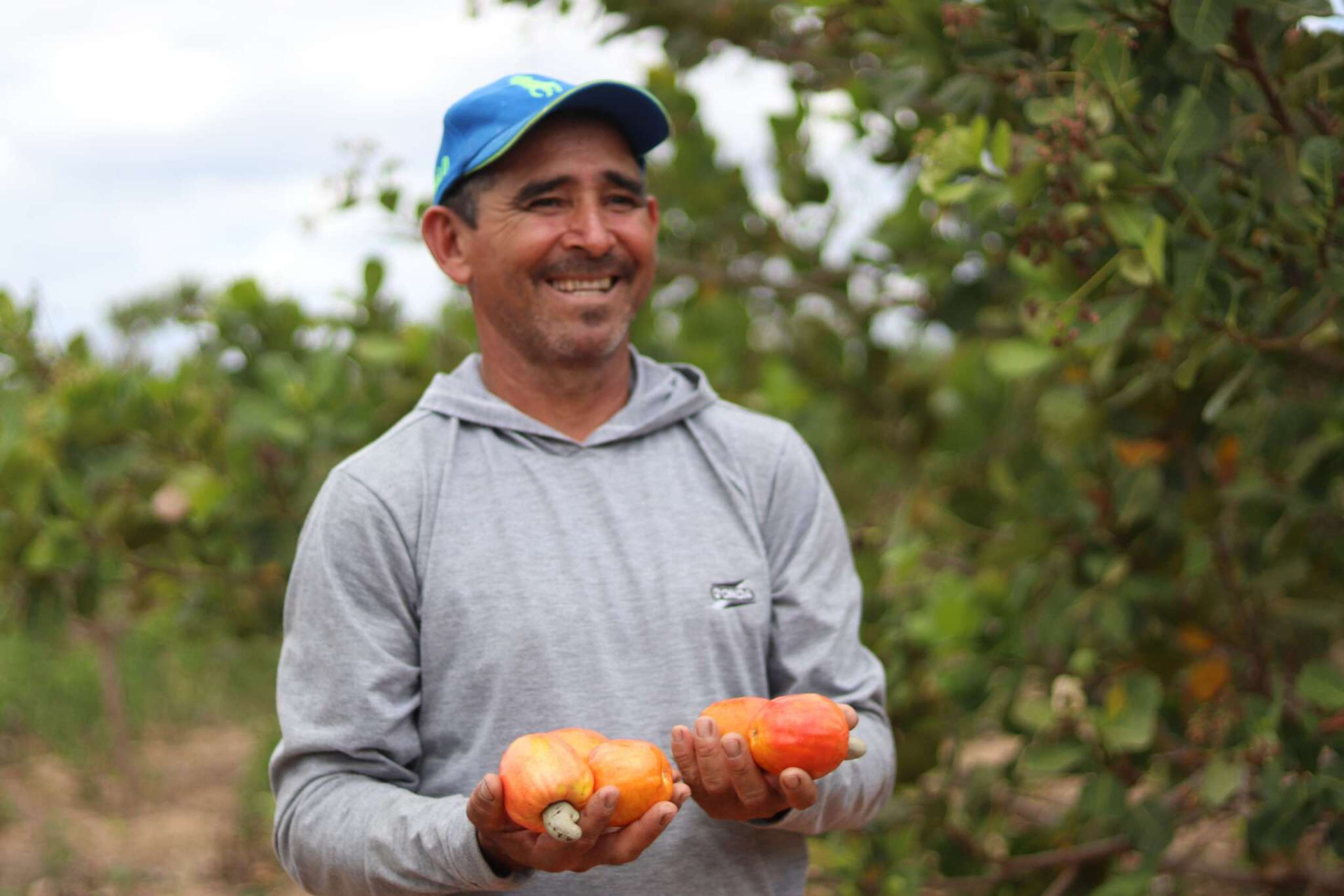 Imagem de apoio ilustrativo: expectativa é de que 250 mil cearenses sejam beneficiados com a iniciativa (Foto: Divulgação/Secretaria do Desenvolvimento Agrário do Ceará )