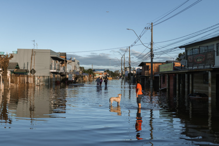 Criança 
e cachorro em enchente de São Leopoldo, cidade do Rio Grande 
do Sul
