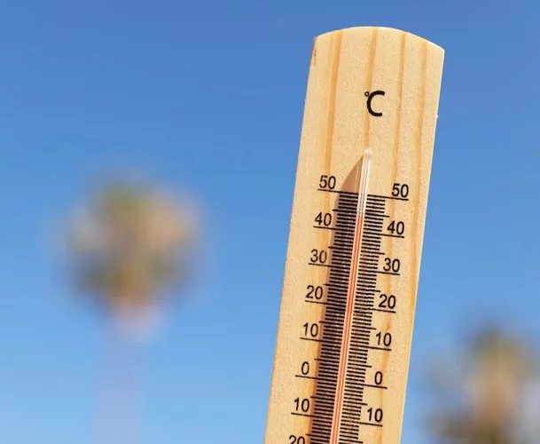 Os resultados desses estudos indicam que a temperatura média global poderia superar os 40 °C.