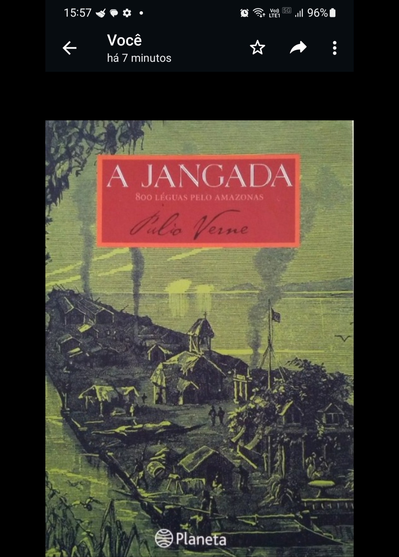 A campeã levou para a avenida um enredo baseado no livro A Jangada  800 Léguas pelo Amazonas, publicado por Jules Verne em 1881. 