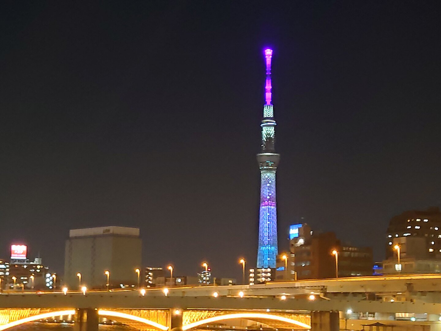 A Tokyo Skytree foi projetada para substituir a Tokyo Tower, primeira torre de TV do país. Ela é feita com estrutura de aço e tem um formato que traz resistência contra abalos sísmicos.  Sua construção teve 580 mil operários. Os visitantes contam com lojas e com 2 observatórios. E, à noite, a iluminação da torre é um espetáculo à parte. 