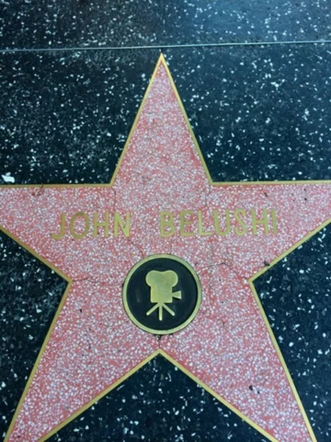 John Belushi, Sam Kinison, John Candy e Chris Farley tiveram seus nomes ligados não só à comédia, como também ao filme, que passou a ter uma fama obscura em Hollywood. Ambos morreram perto do auge de suas carreiras e estariam na obra cancelada.