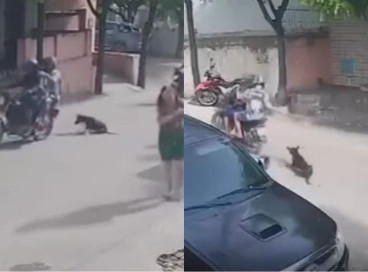 Cachorro estava preso por uma corda e foi arrastado pelos dois suspeitos em uma rua do município de Canindé 