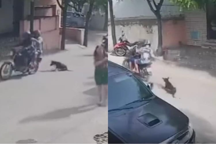 Cachorro estava preso por uma corda e foi arrastado pelos dois suspeitos em uma rua do município de Canindé