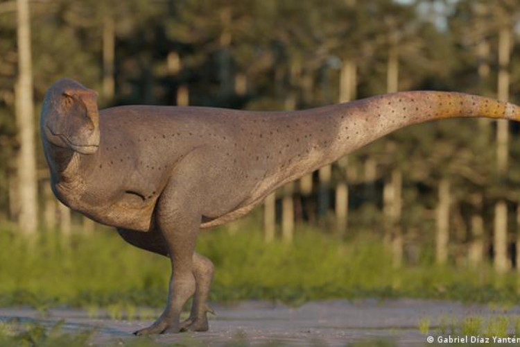 Dinossauro com braços menores que os do tiranossauro é descoberto na Patagônia, na Argentina