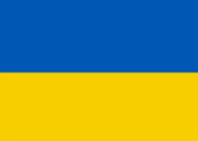 A invasão da Ucrânia fez com que a bandeira do país ganhasse protagonismo no noticiário.  O azul representa o céu e o amarelo remete ao trigo cultivado nas estepes.  