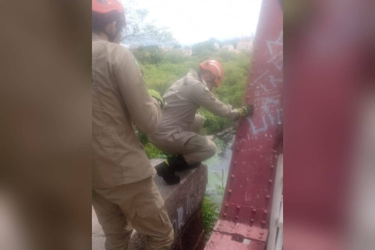 Idoso caiu de uma altura de oito metros e foi resgatado por uma equipe do Corpo de Bombeiros Militar do Ceará (CBMCE)