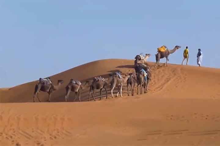 Uma dupla de pesquisadores conseguiu calcular pela primeira vez a idade de umas das mais altas dunas de areia do planeta Terra. 
