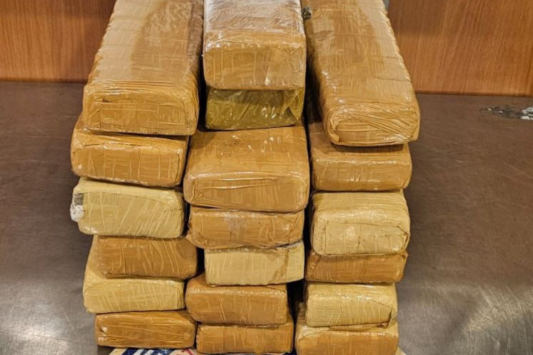 31.1 kg de maconha foram apreendidos no Aeroporto de Fortaleza