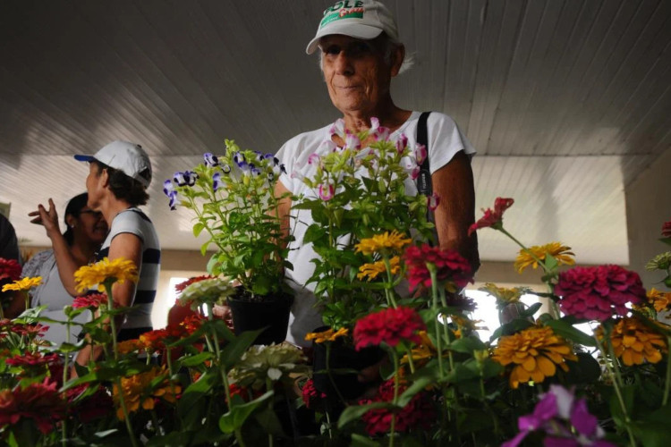 Na Feira Flor e Artesanato produtos serão vendidos por valores entre R$ 5 e R$ 150