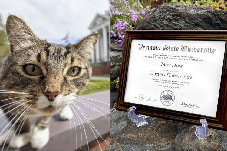 O gato Max recebeu um doutorado honorário em universidade dos EUA