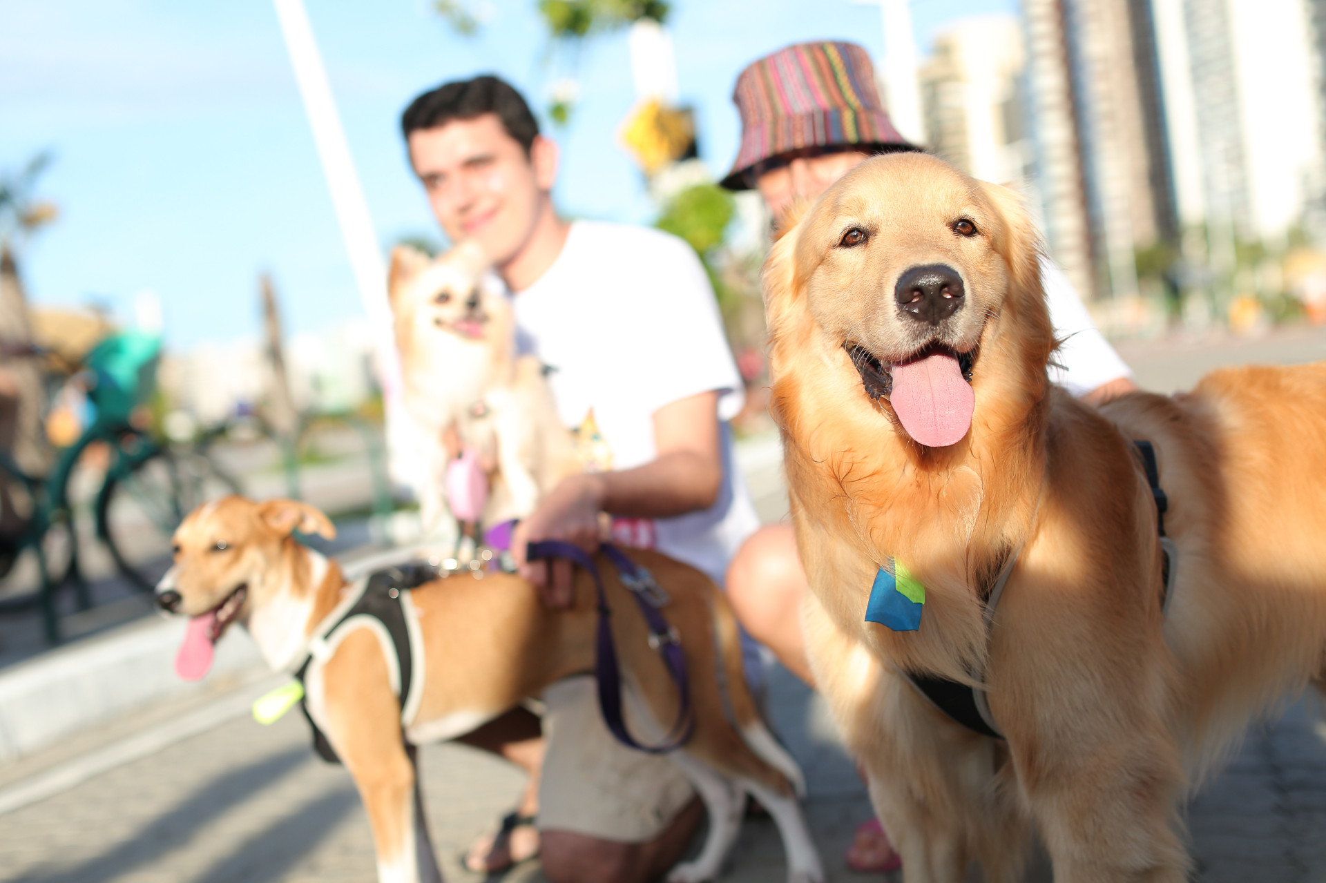 ￼EVENTO reuniu caminhantes 
humanos e caninos na Beira Mar (Foto: João Filho Tavares)