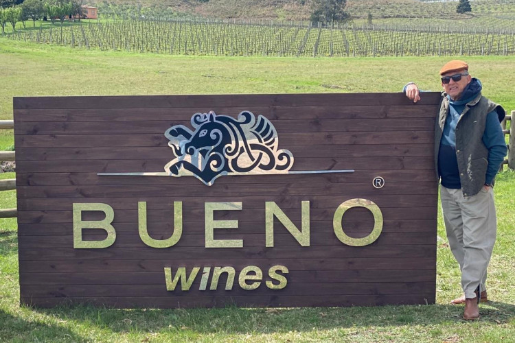 Galvão Bueno é um dos artistas que decidiu investir na produção de vinho