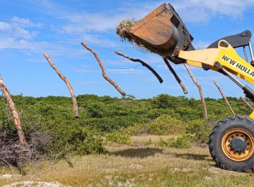 Ação da prefeitura derruba cerca em ocupação de área de proteção ambiental em Icapuí 