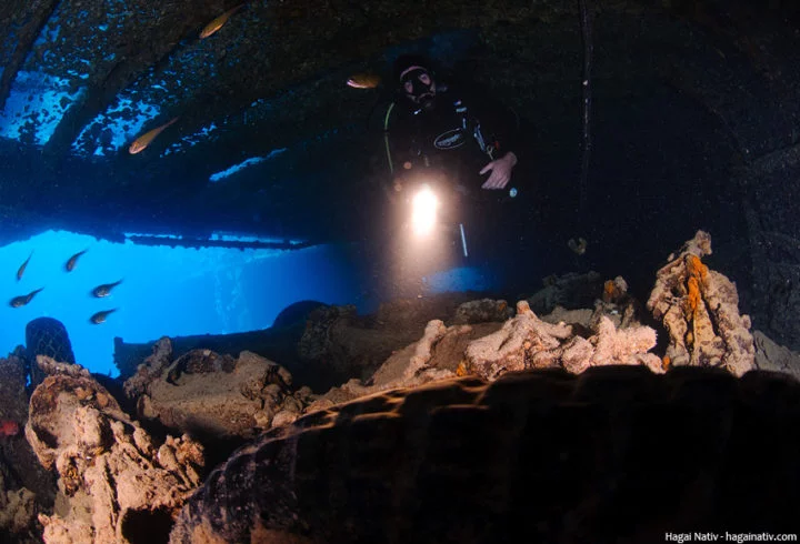 Imagina poder explorar corredores fantasma dentro de um navio afundado, com corais coloridos crescendo nas paredes e vários peixes nadando ao seu redor.