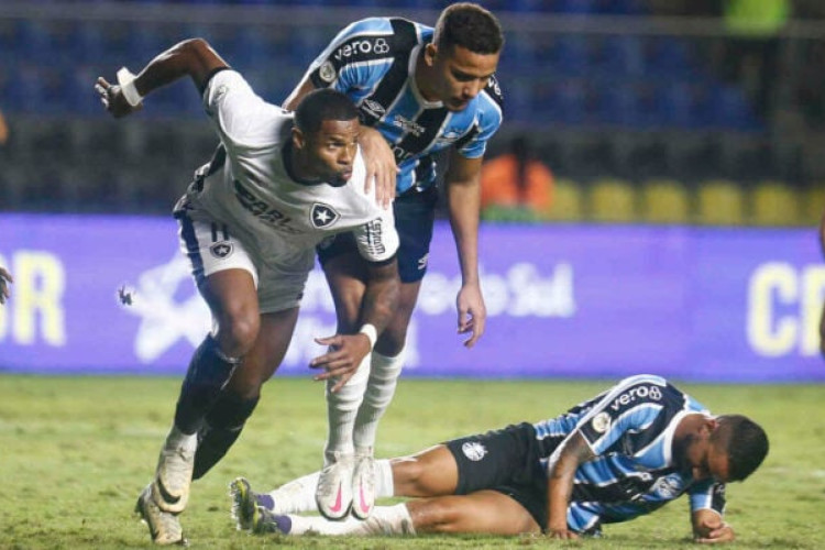 Com gols de Cuiabano e Júnior Santos, Botafogo passa o Flamengo, que empatou nesta rodada, na tabela 