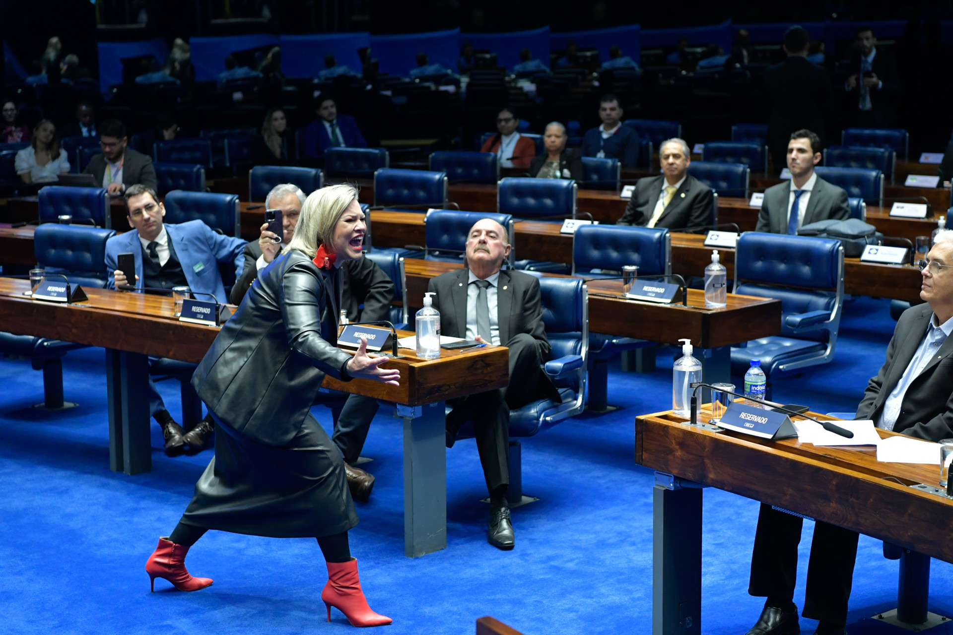 ￼CONTADORA de histórias interpretou feto sendo abortado em sessão no Senado (Foto: Geraldo Magela)