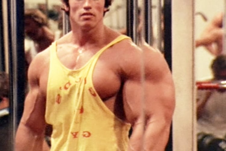 Arnold Schwarzenegger