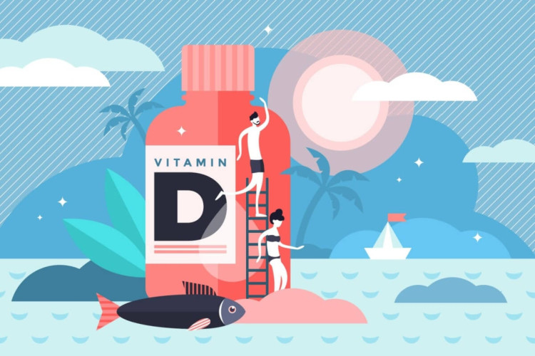 A vitamina D é fundamental para o organismo (Imagem: VectorMine | Shutterstock)