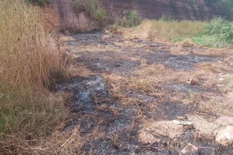 Desmatamento no entorno do terreno da Expocrato é alvo de investigações pelo MPCE 
